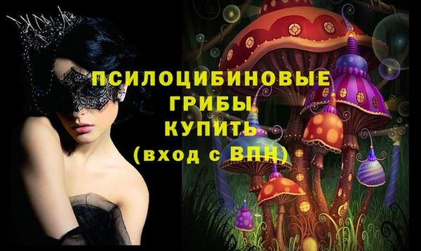 гашик Абинск