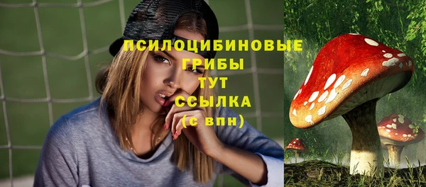 бошки Абаза
