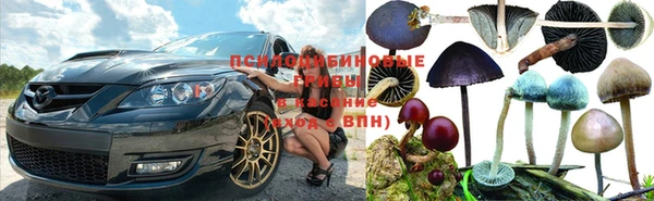 гашик Абинск