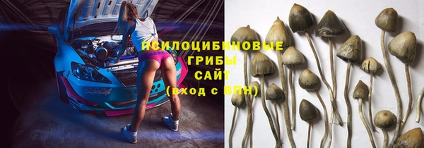 гашик Абинск