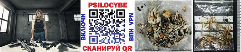 Галлюциногенные грибы MAGIC MUSHROOMS  Кизилюрт 